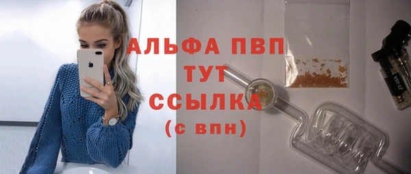 прущий лед Карпинск