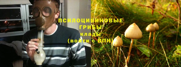 прущий лед Карпинск