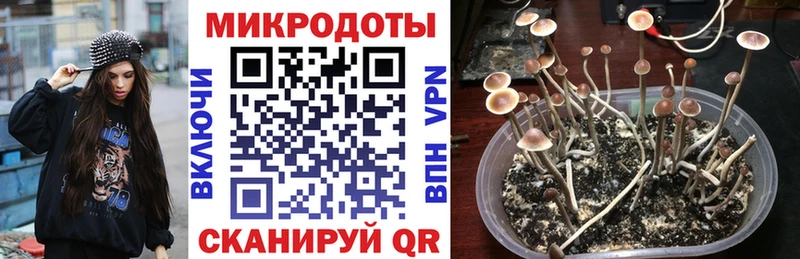 Галлюциногенные грибы MAGIC MUSHROOMS  Купить где  Братск 